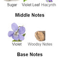 FLORAL FINESSE Is Our Version Of Angel Garden Of Stars - Violette Angel Mugler