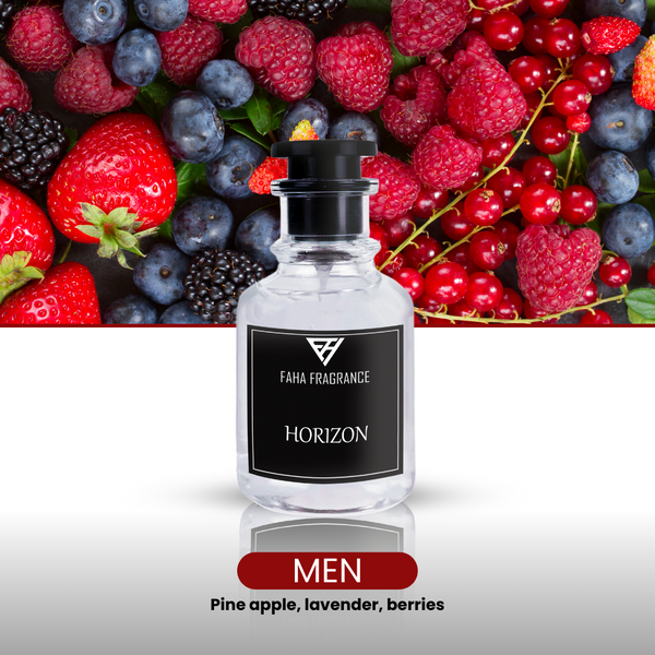 HORIZON Is Our Version Of Lapidus Pour Homme Ted Lapidus (EDP)