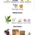 Joy Is Our Version of Montabaco Intensivo Ormonde Jayne