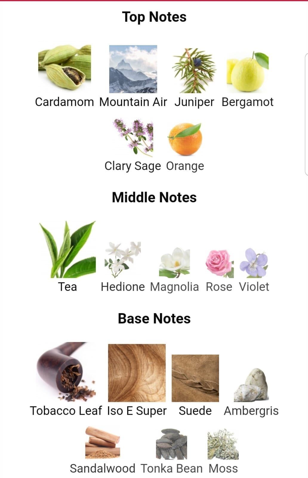 Joy Is Our Version of Montabaco Intensivo Ormonde Jayne
